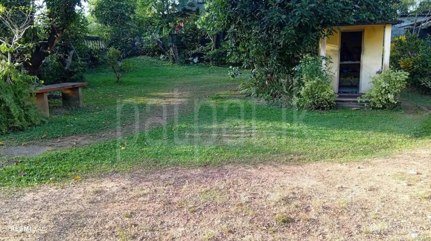 Commercial Land for Sale in Homagama