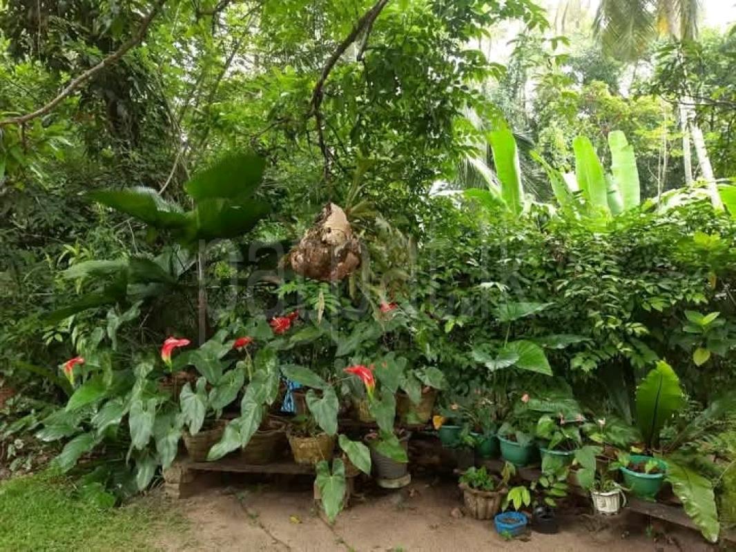 House for Sale in Kandy