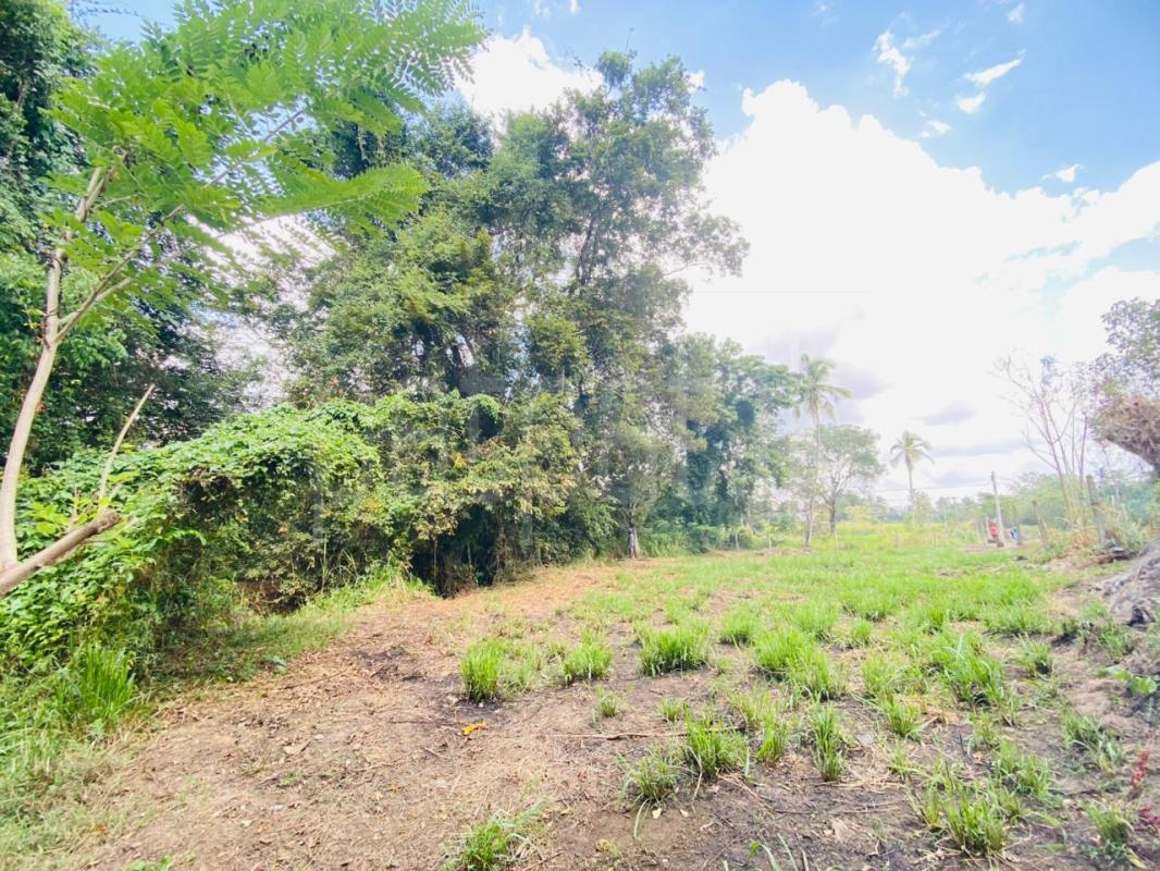 Commercial Land for Sale in Narammala
