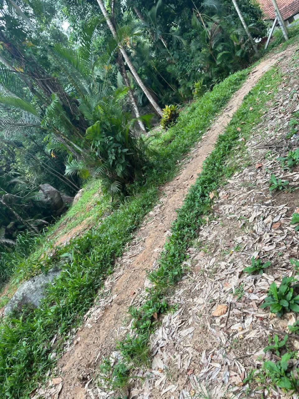 Residential Land for Sale in Nittambuwa