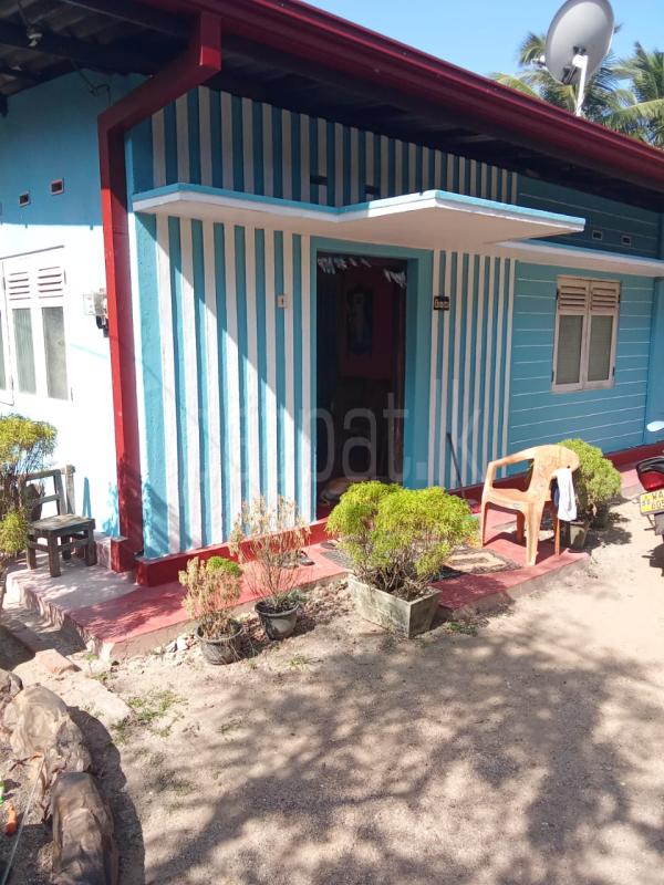 House for Sale in Ja-Ela ads-image-1