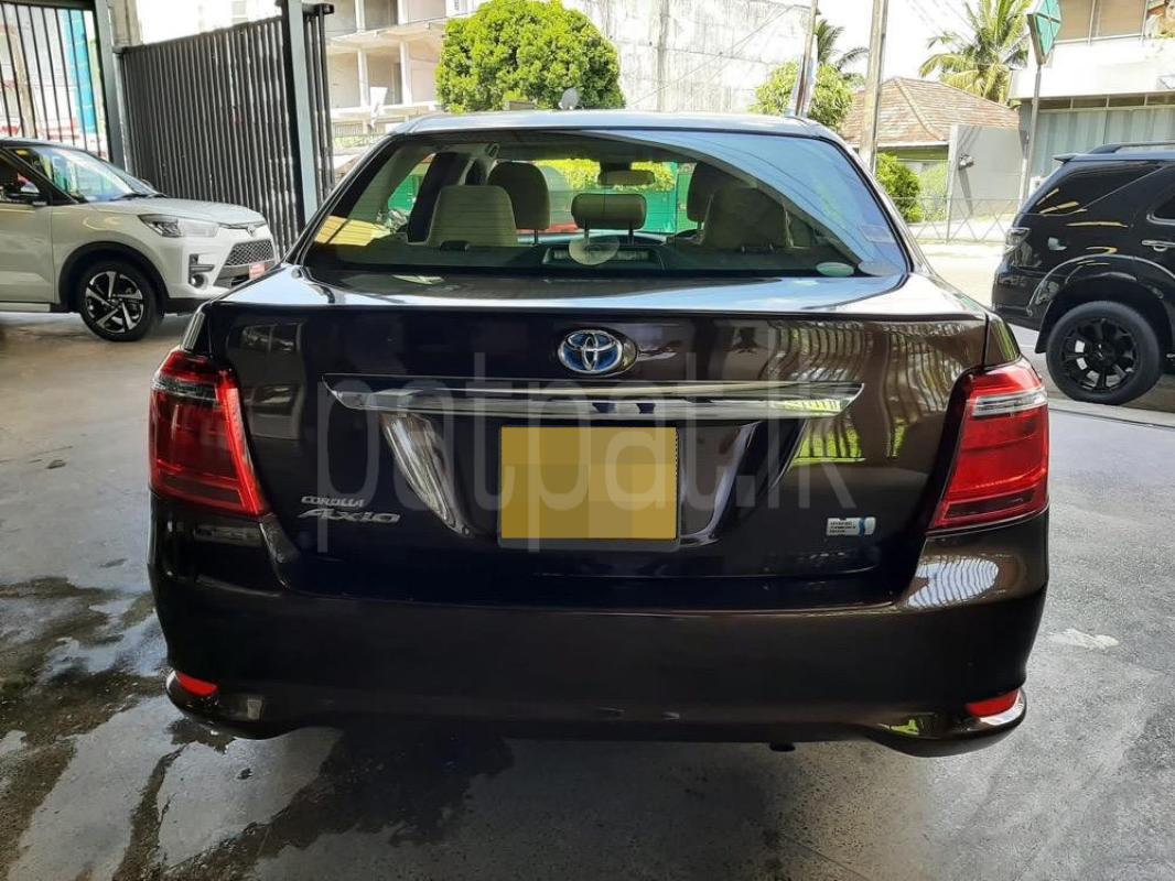 Advertisement image 5