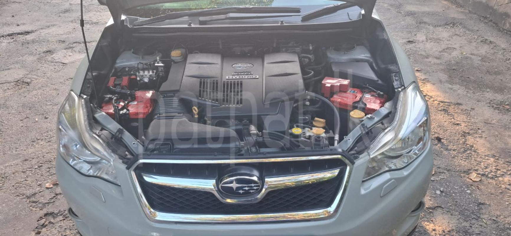 Advertisement image 4