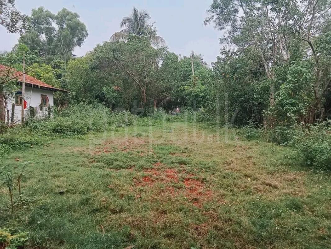 Commercial Land for Sale in Ambalantota