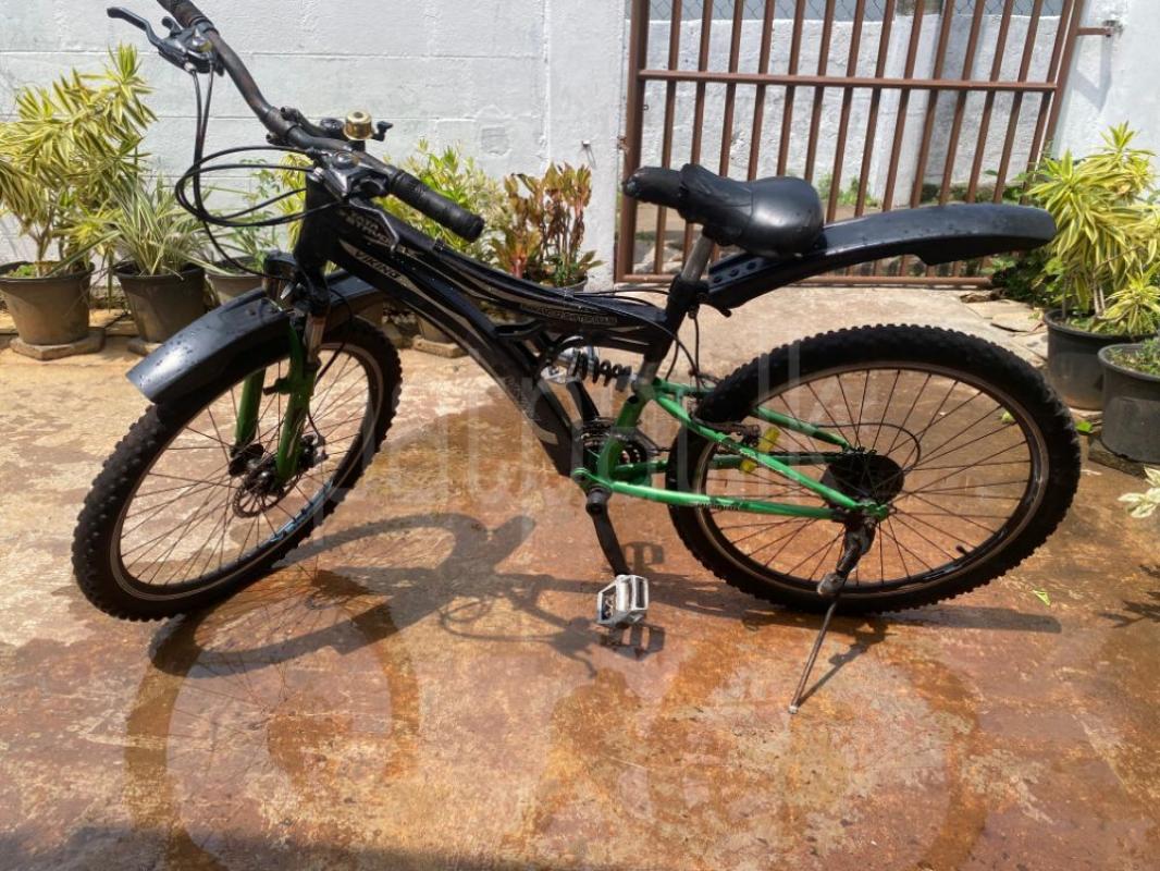 Advertisement image 1