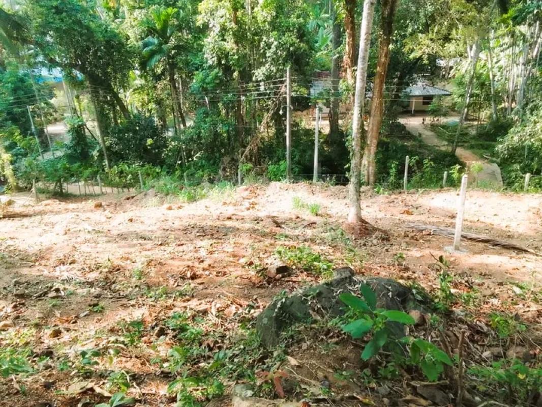 Commercial Land for Sale in Gampaha ads-image-1