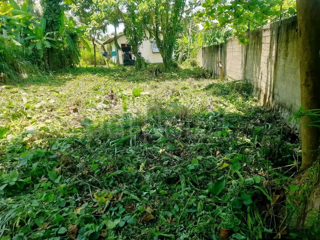 Residential Land for Sale in Ridigama ads-image-1