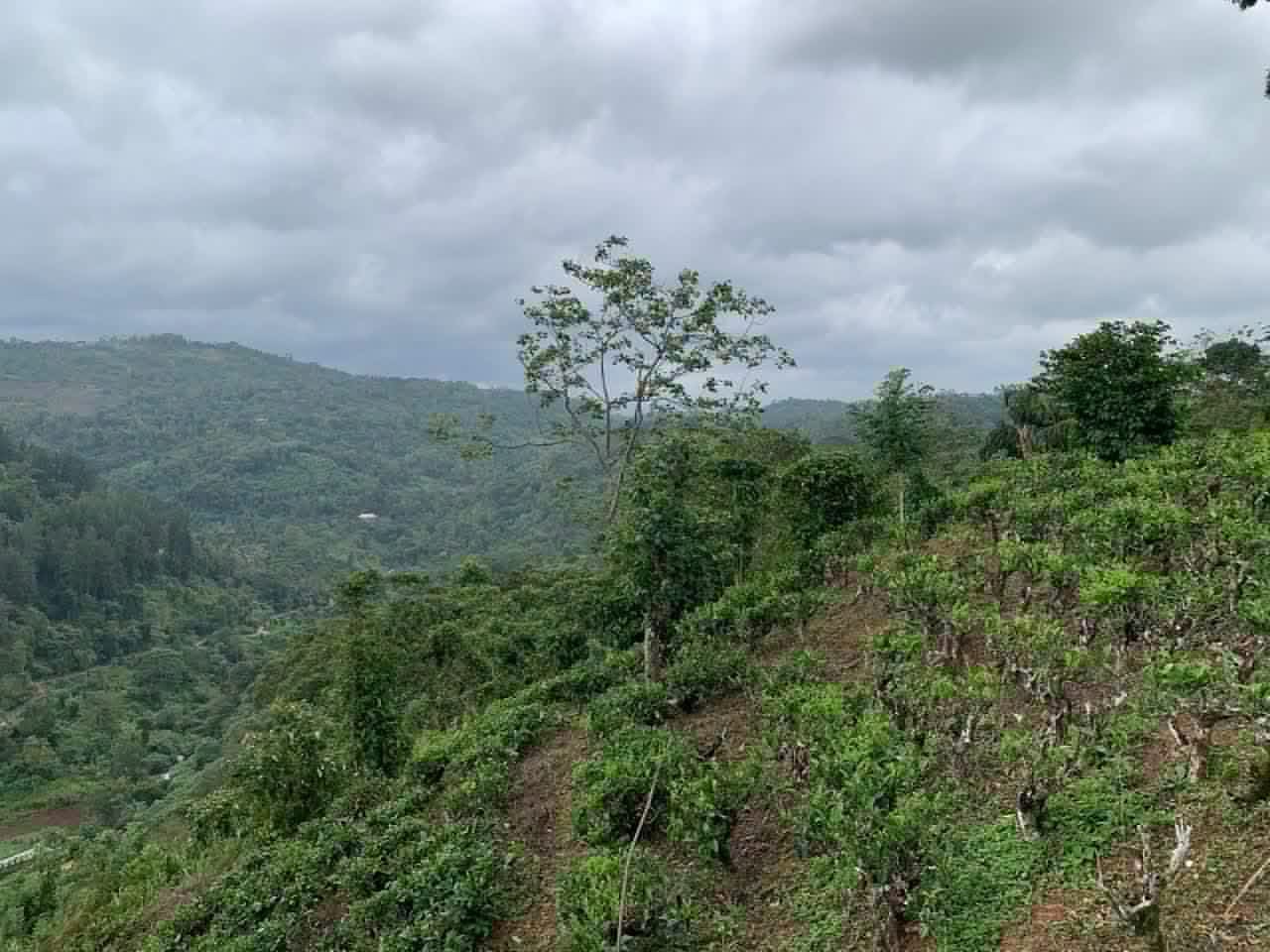 Agricultural Land for Sale in Dolosbage