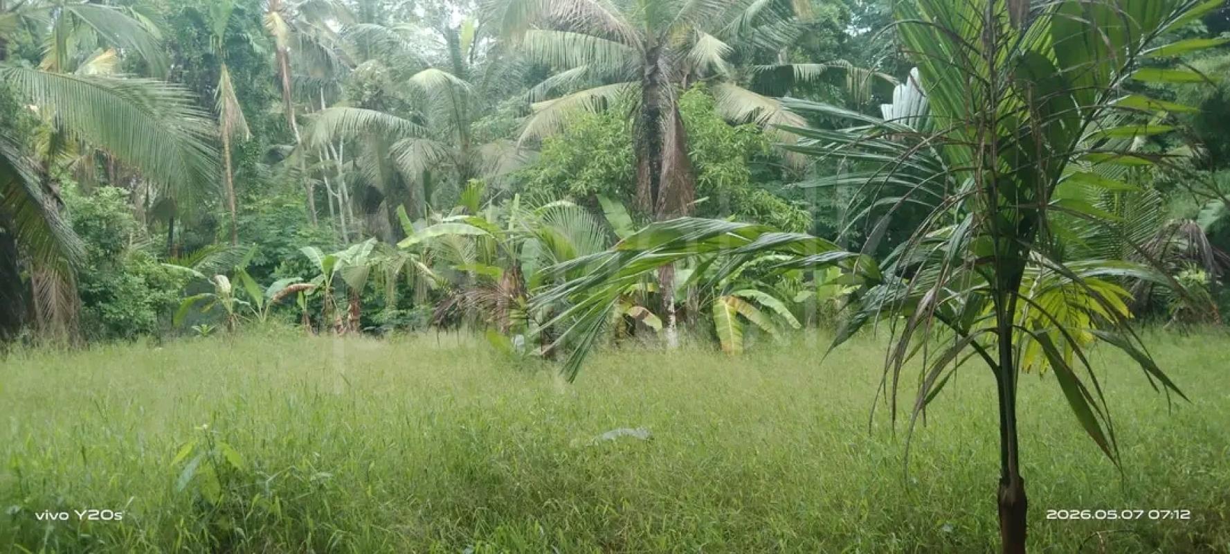 Agricultural Land for Sale in Maho