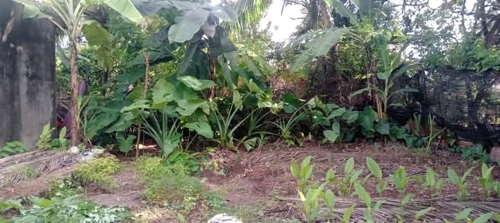 Commercial Land for Sale in Pannipitiya