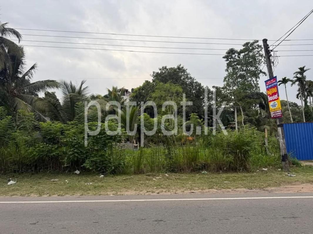 Advertisement image 1