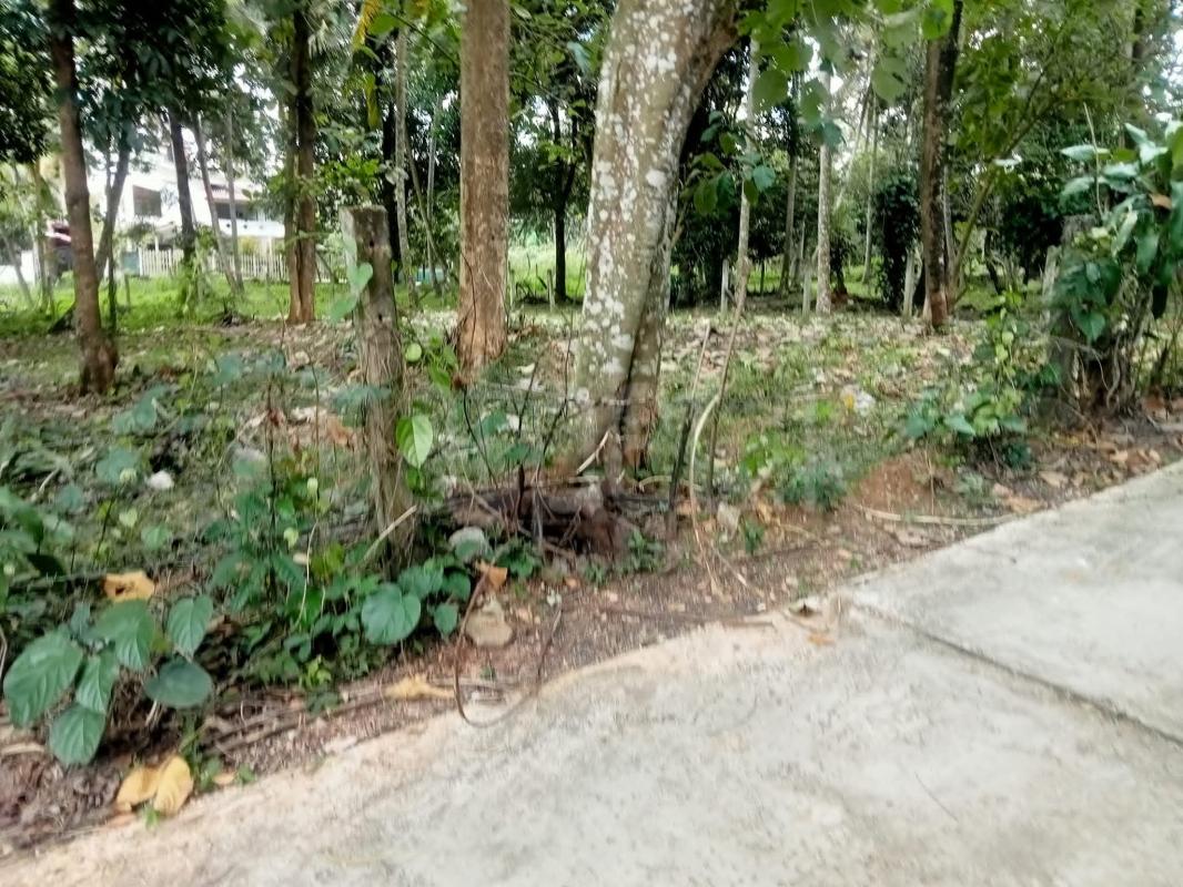 Residential Land for Sale in Kurunegala