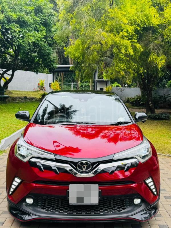 Advertisement image 1