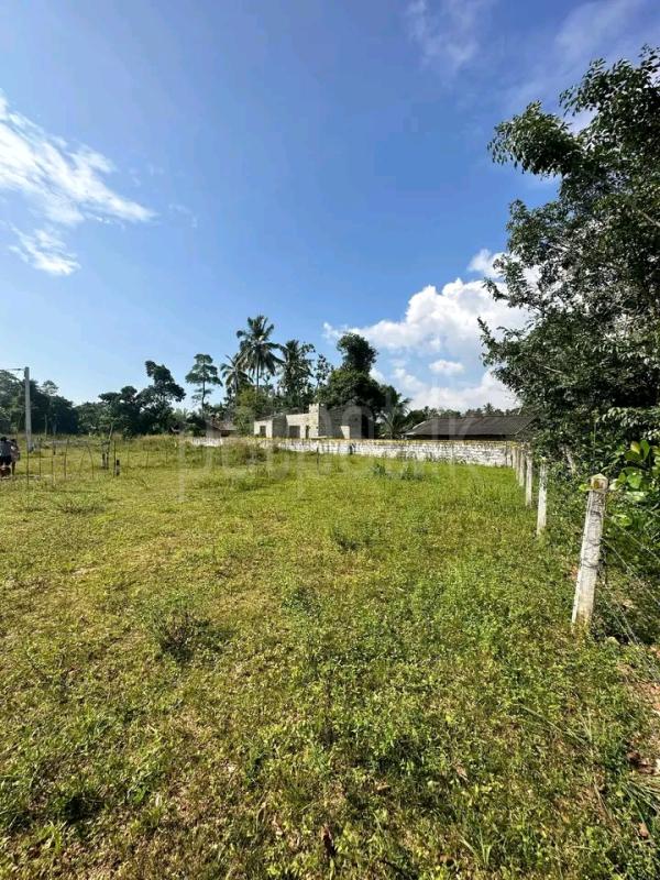 Commercial Land for Sale in Minuwangoda