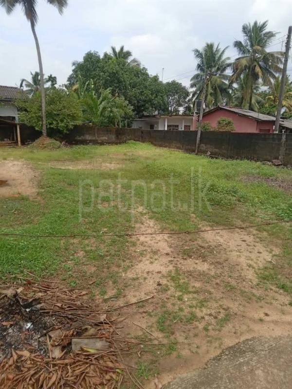 Residential Land for Sale in Homagama