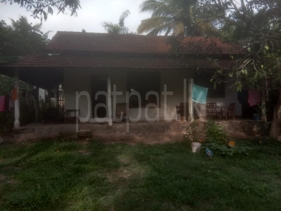 House for Sale in Walpita