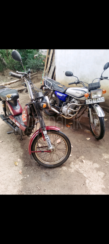 Advertisement image 4