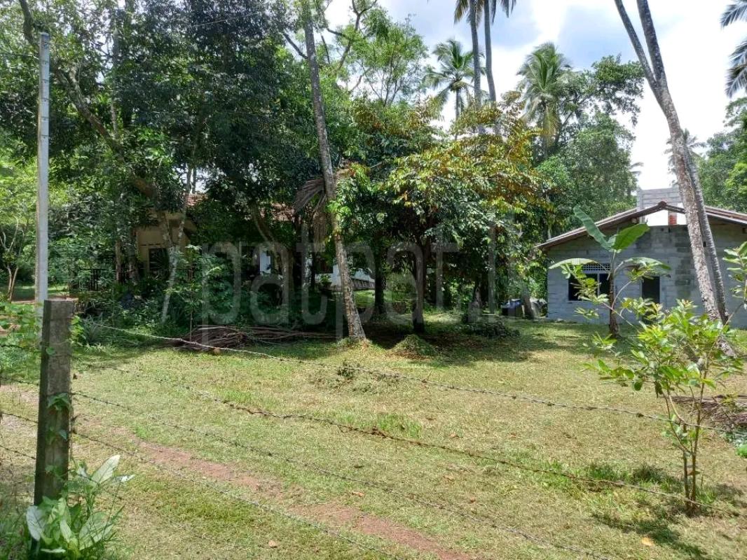 Commercial Land for Sale in Panadura