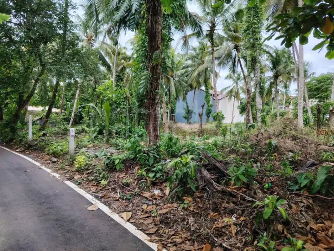 Commercial Land for Sale in Kottawa