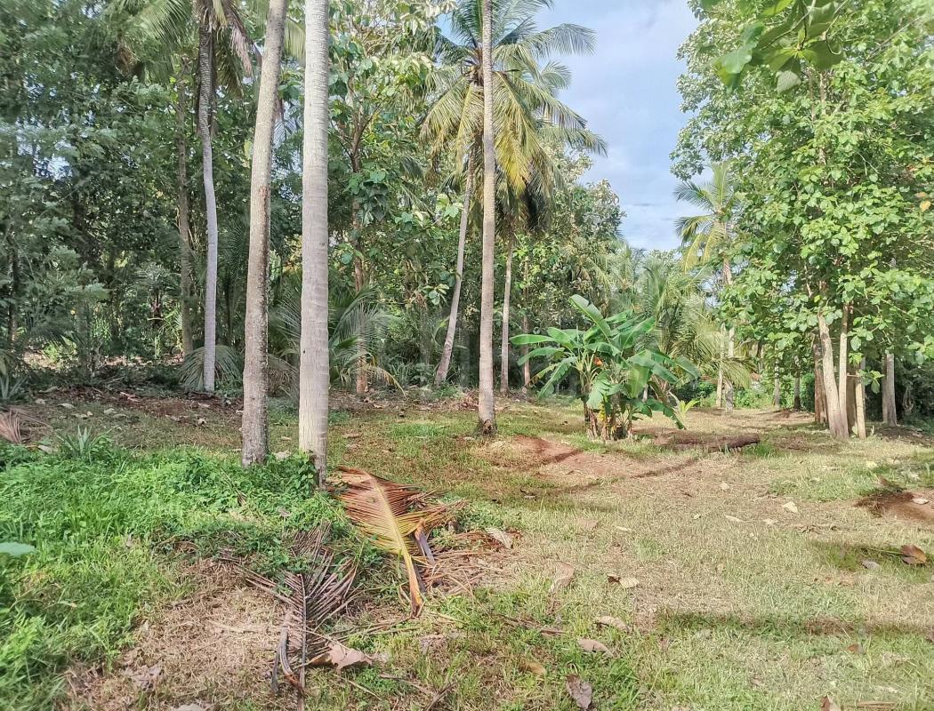 Residential Land for Sale in Weeraketiya