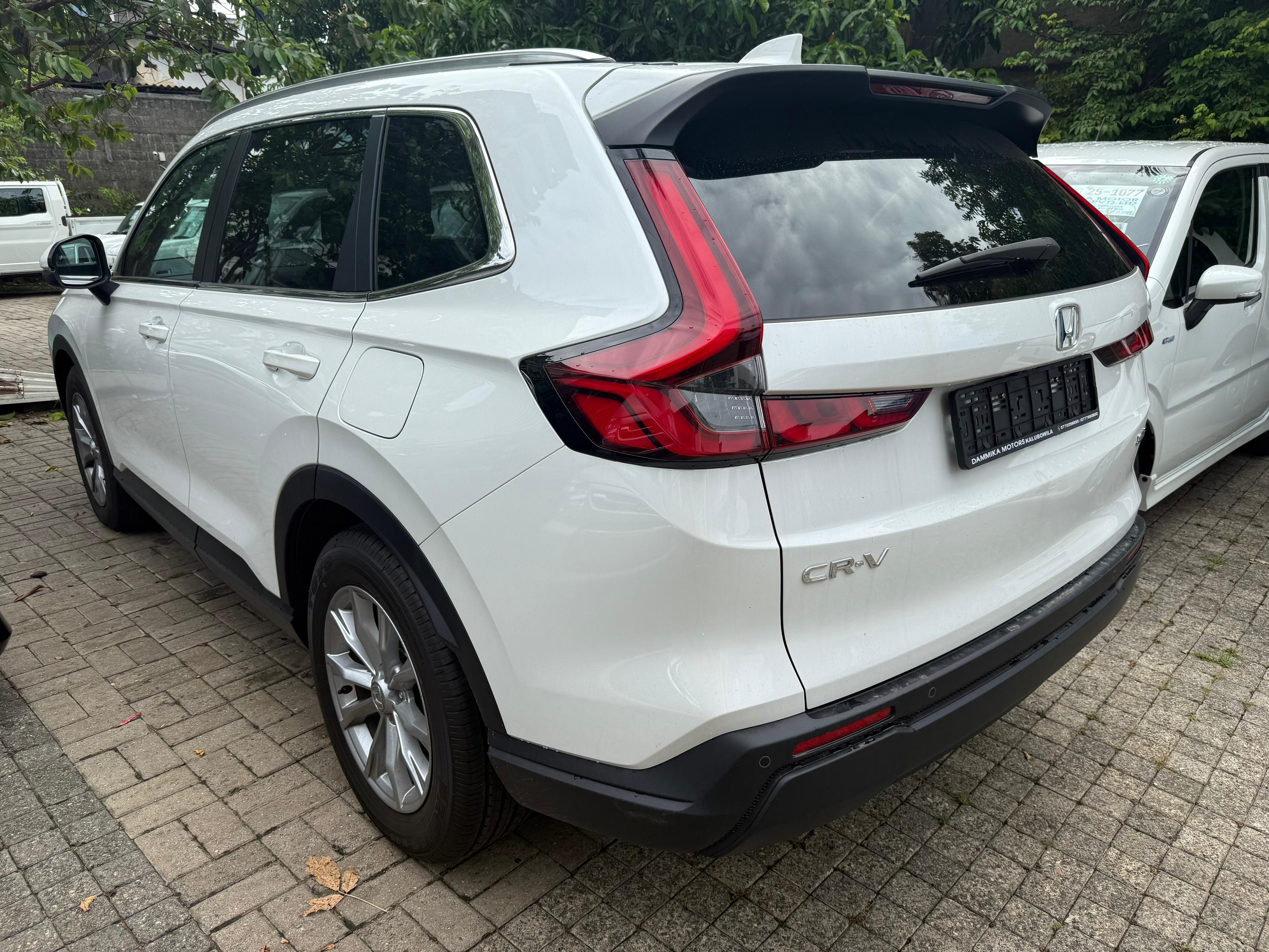 Advertisement image 2