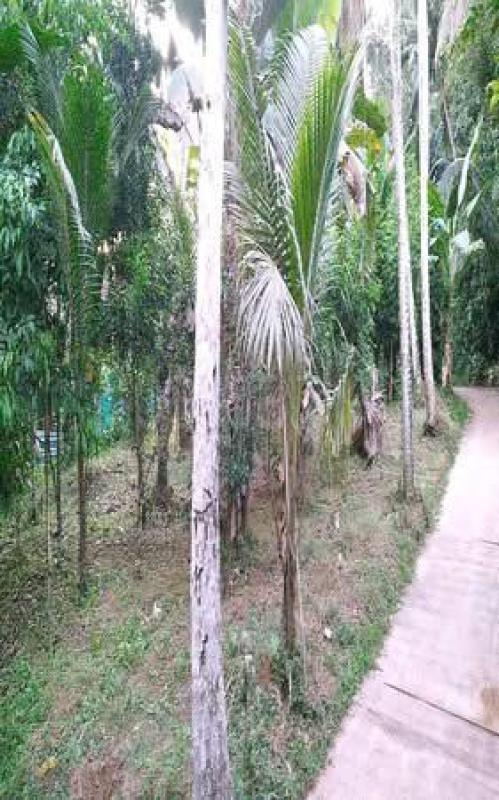 Residential Land for Sale in Nittambuwa