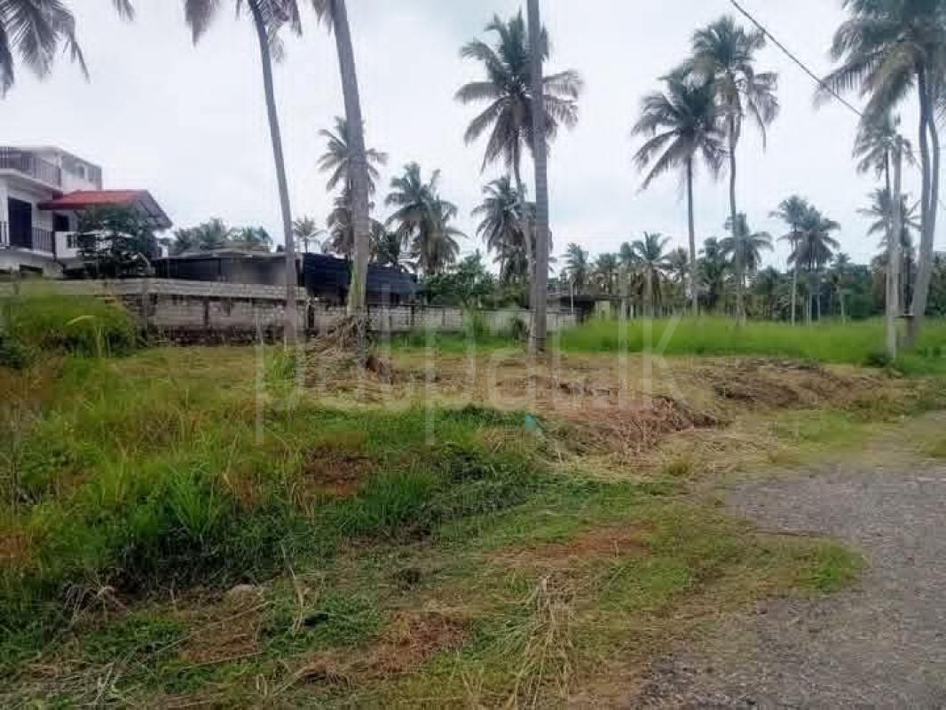 Residential Land for Sale in Kurunegala ads-image-1