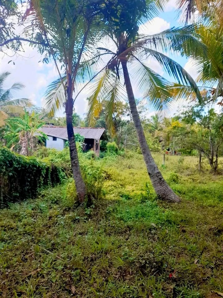 Residential Land for Sale in Kurunegala ads-image-1