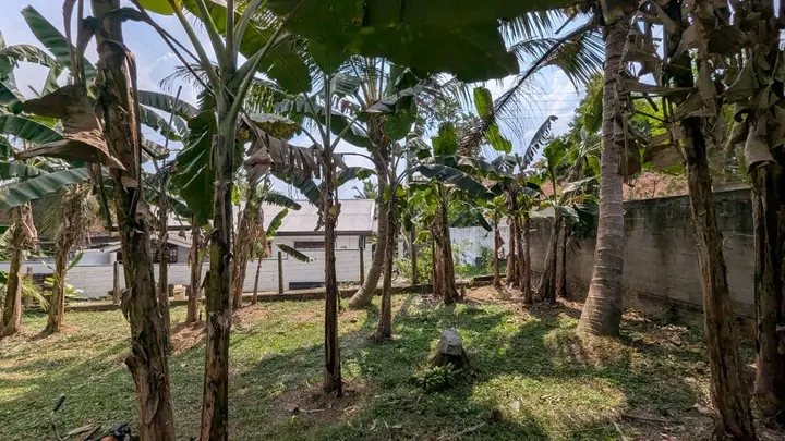 Commercial Land for Sale in Weliveriya