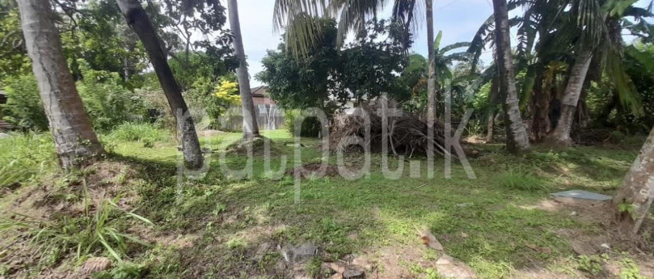 Commercial Land for Sale in Wanchawela ads-image-1