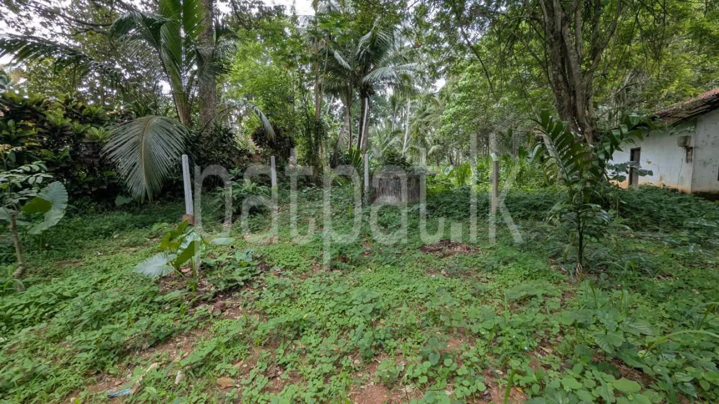 Residential Land for Sale in Veyangoda