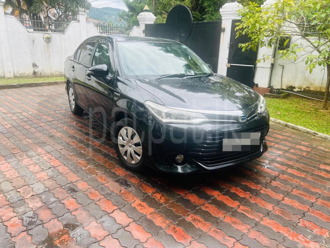 Advertisement image 6