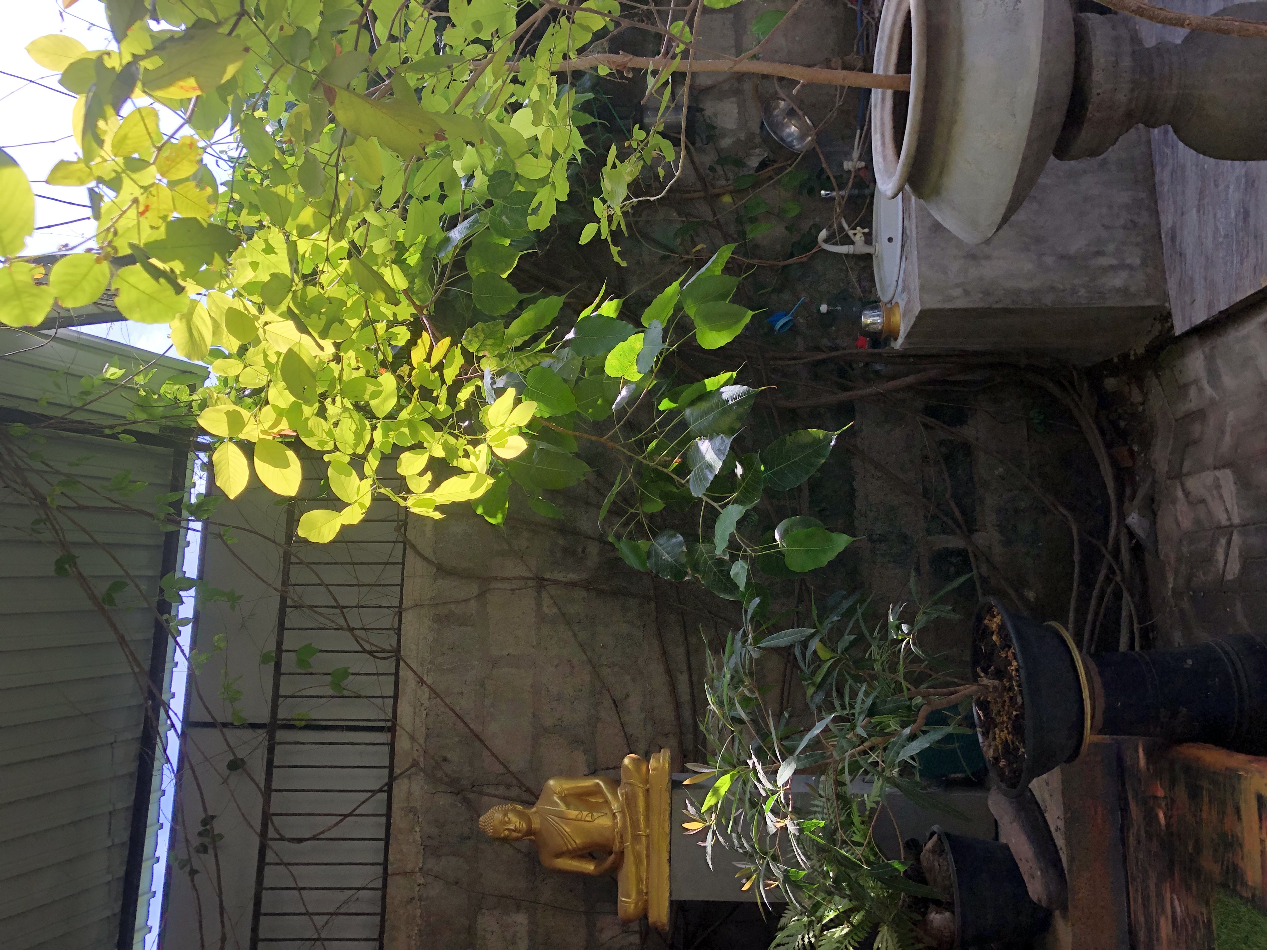 House for Sale in Polonnaruwa