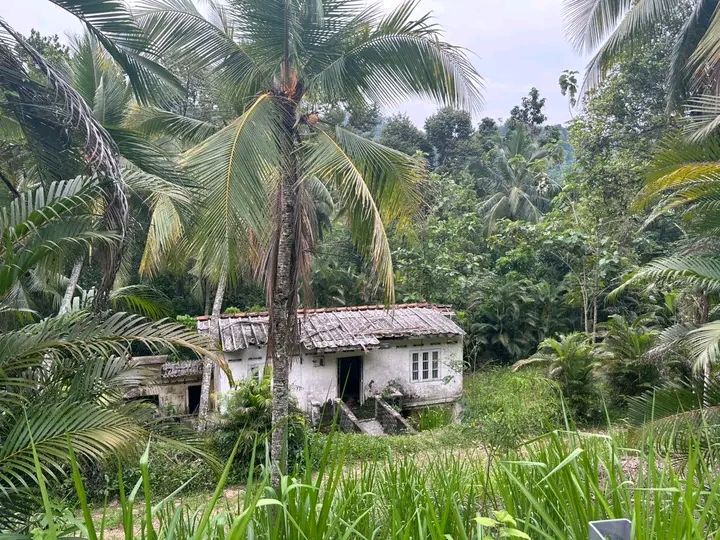 Commercial Land for Sale in Nittambuwa