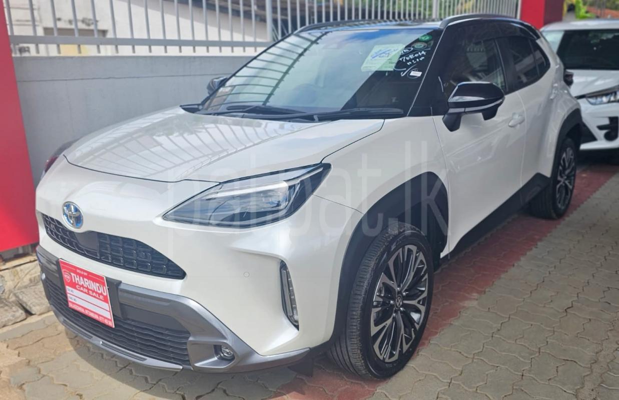 Advertisement image 2