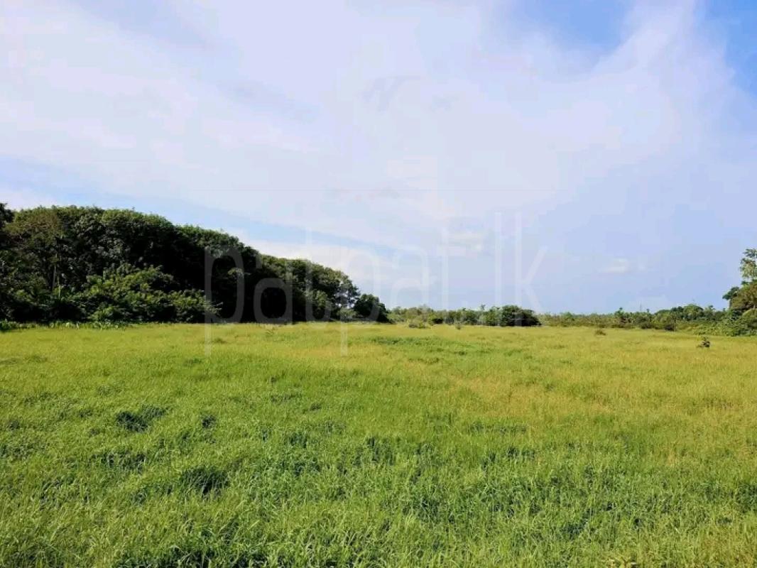 Commercial Land for Sale in Panadura