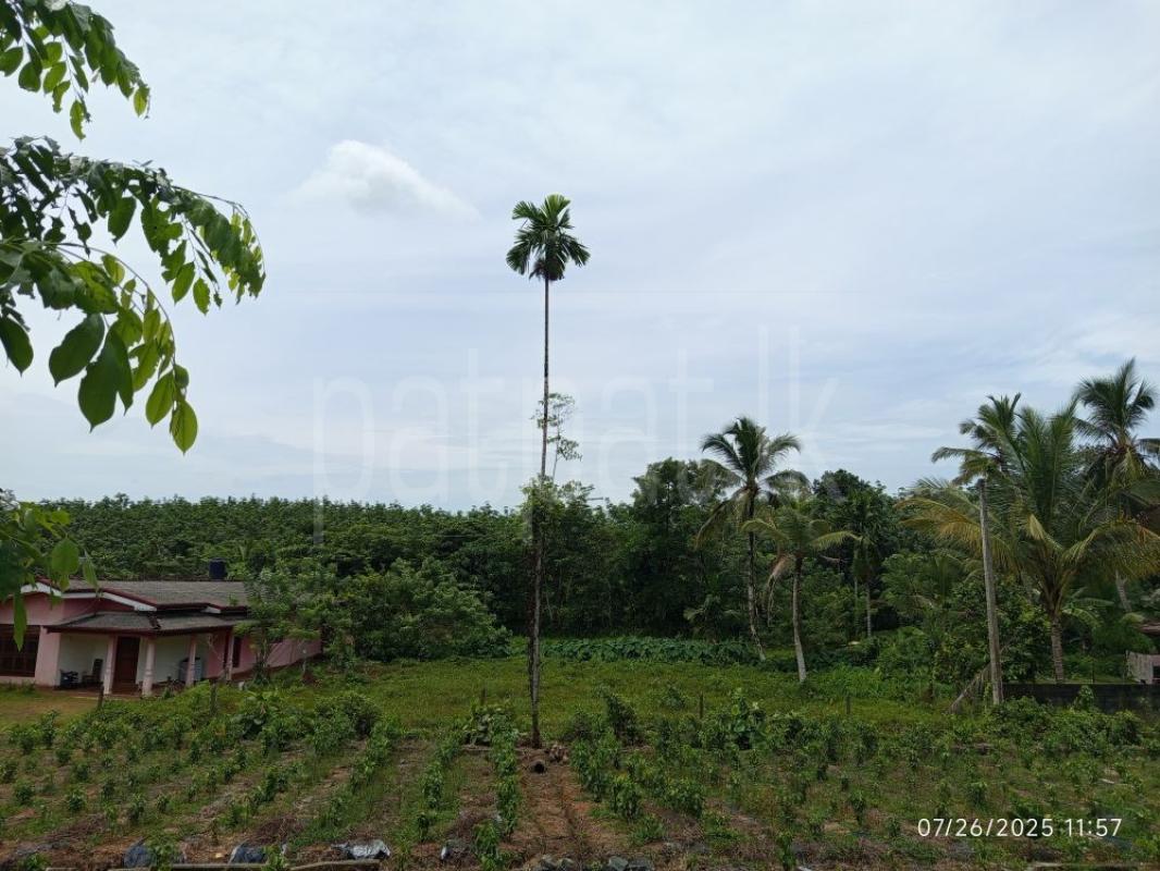 Residential Land for Sale in Dodangoda ads-image-1