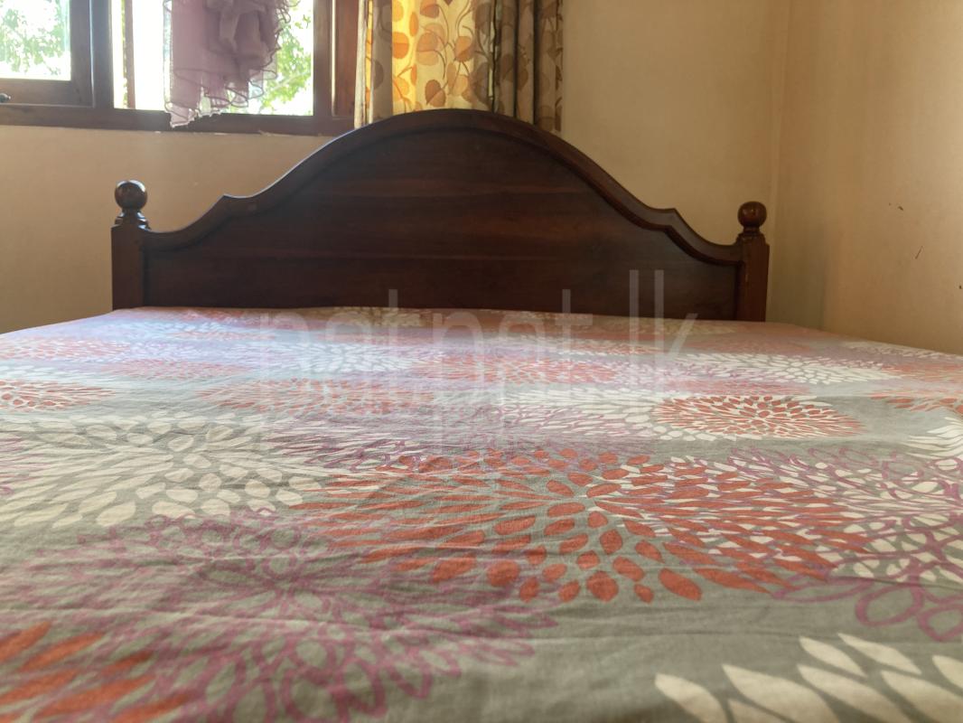 Solid Teak Wood Bed Frame (Queen-size )