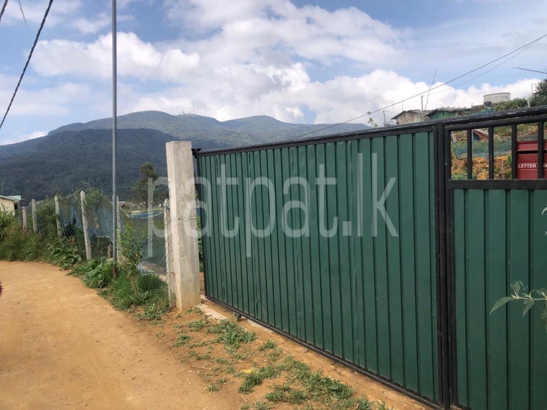 Advertisement image 1