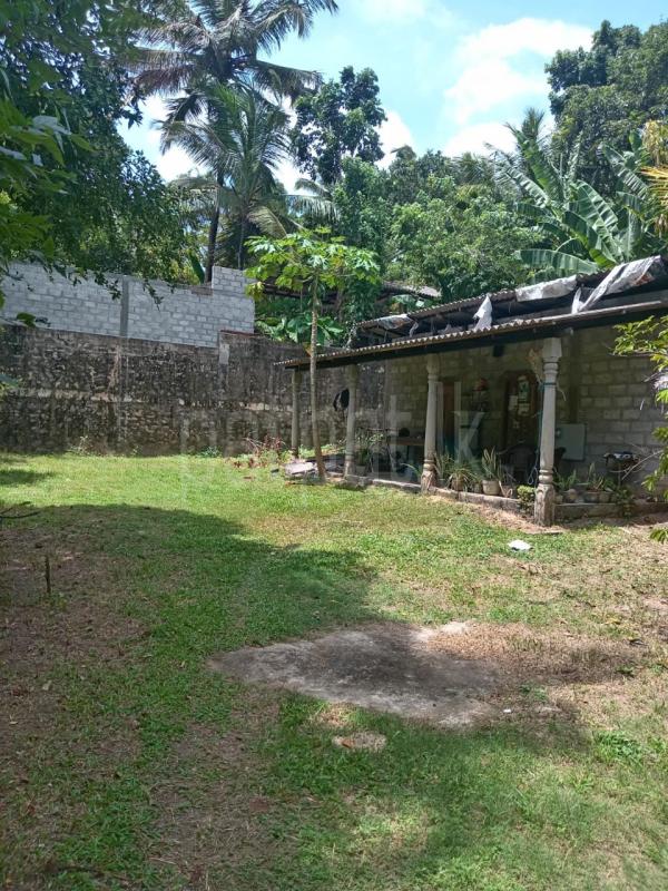 House for Sale in Minuwangoda ads-image-1