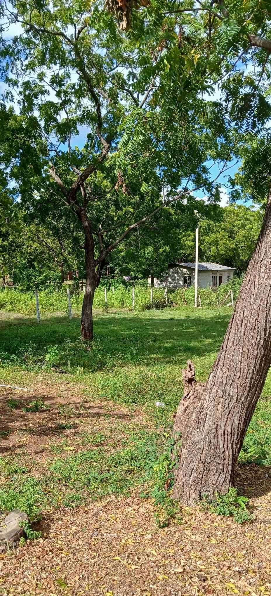 Agricultural Land for Sale in Kataragama