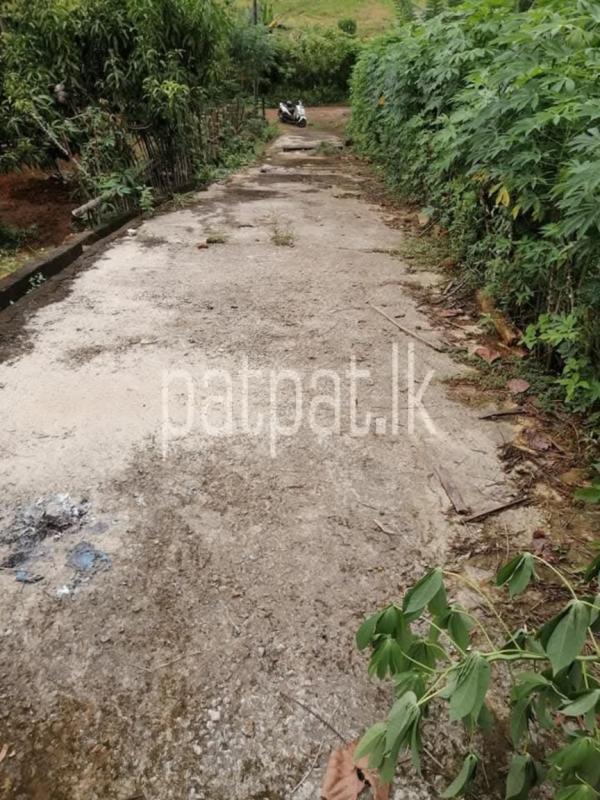 Advertisement image 6