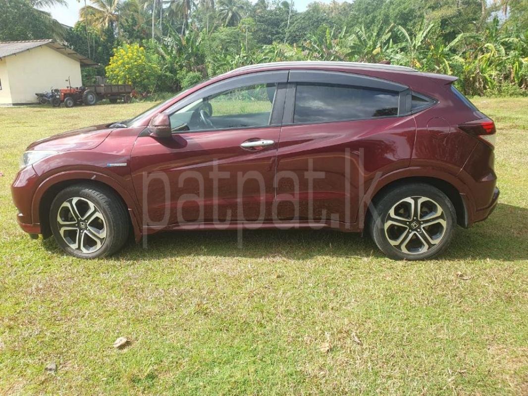 Advertisement image 3