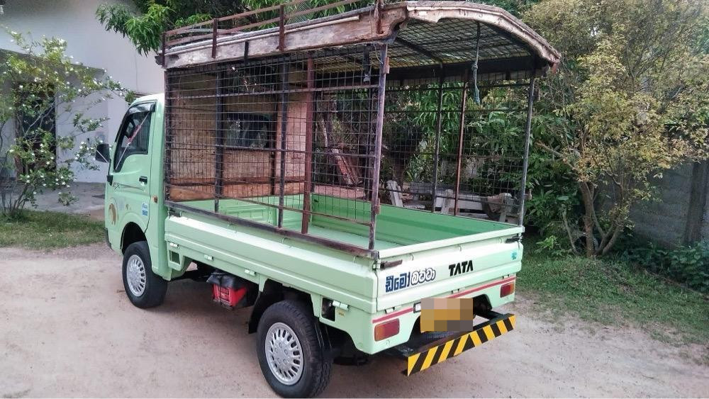 Tata Ace 2010 - Used Truck sale in Sri Lanka - patpat.lk
