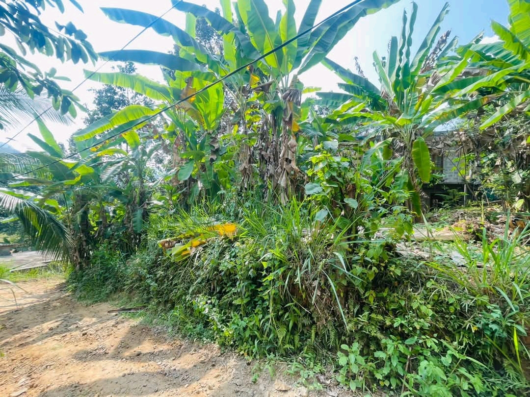 Residential Land for Sale in Gampola