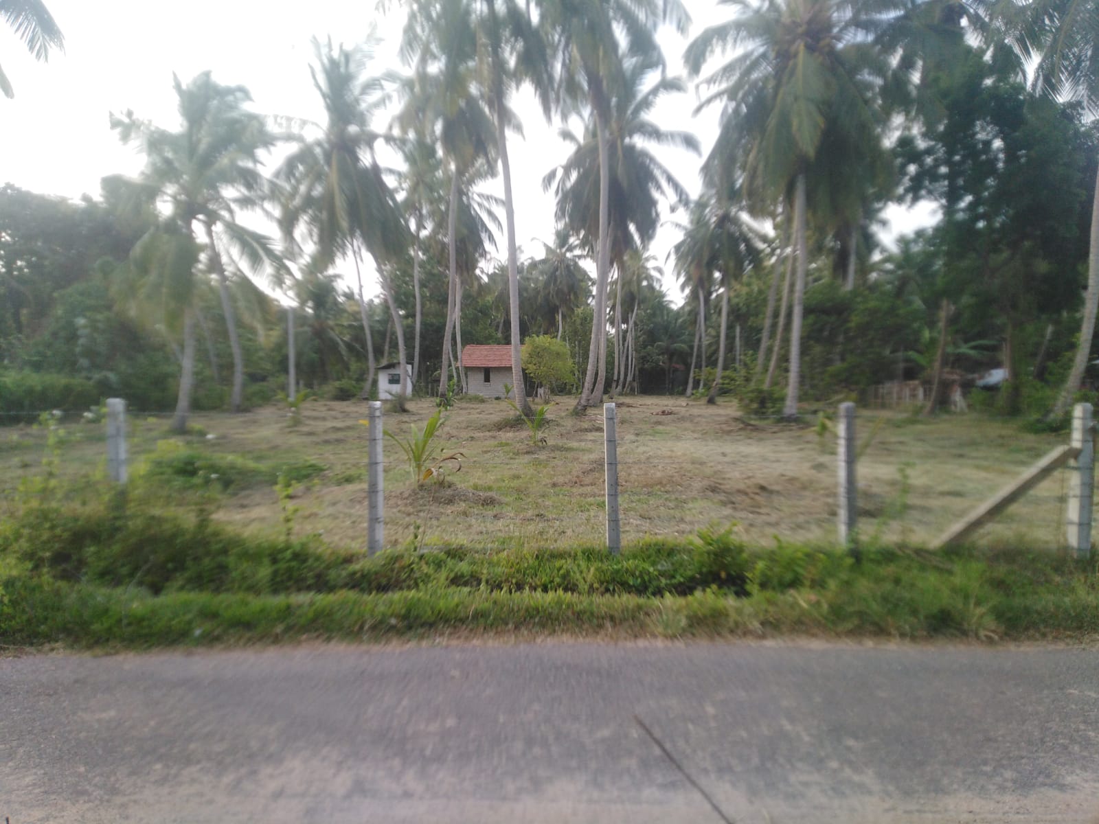 Residential Land for Sale in Marawila ads-image-1