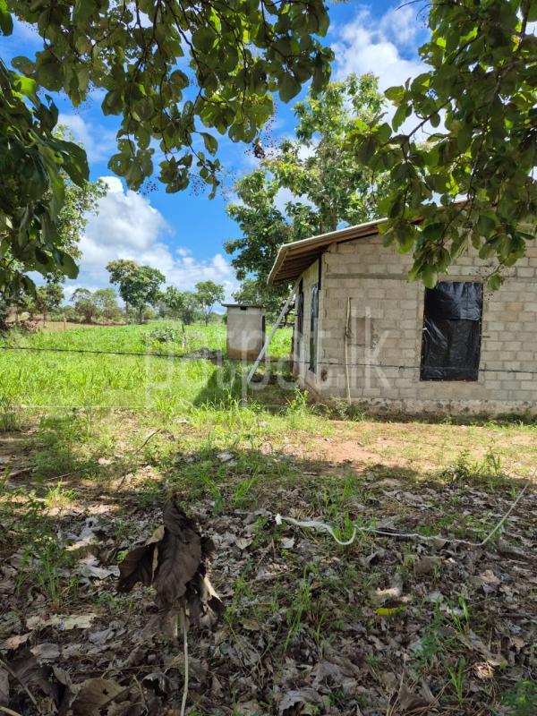 Residential Land for Sale in Anuradhapura