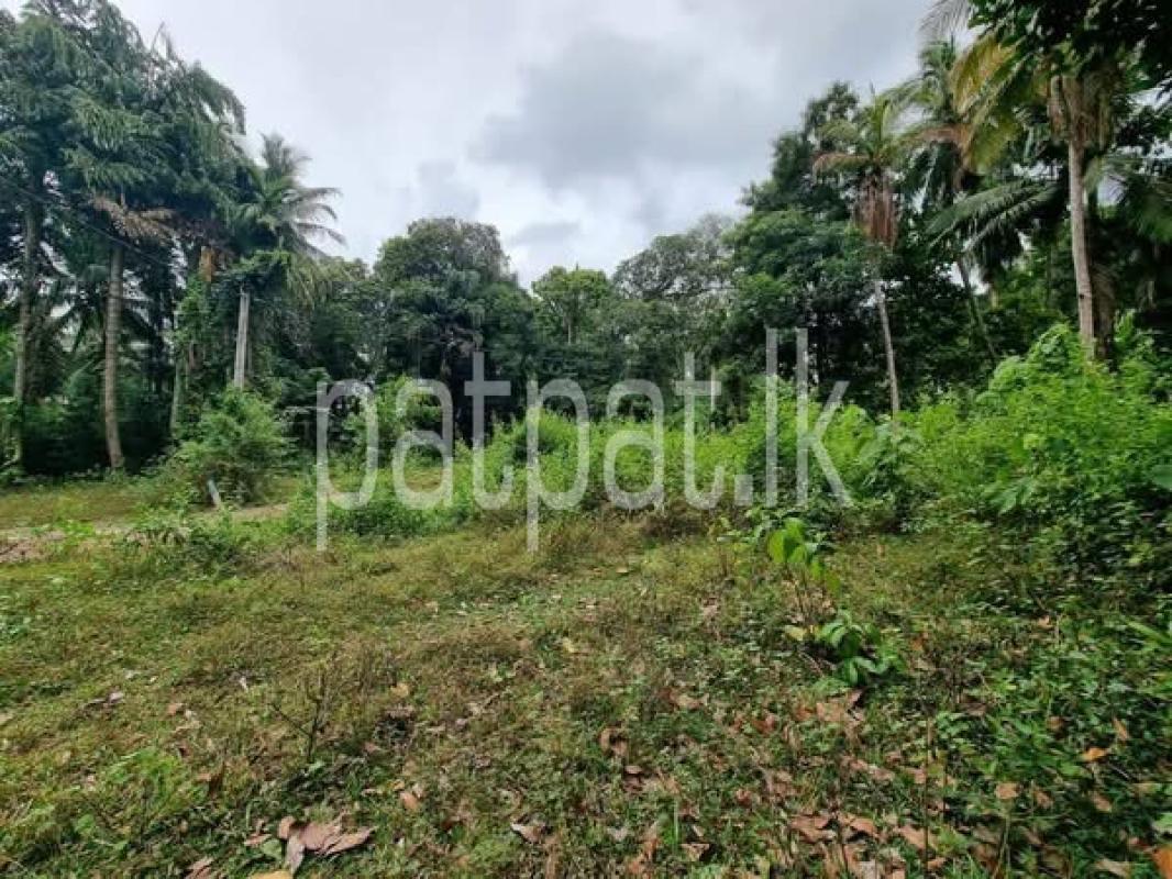 Advertisement image 1