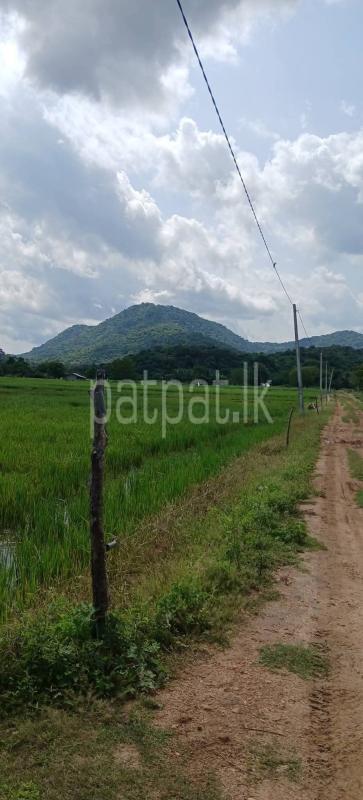 Agricultural Land for Sale in Kataragama