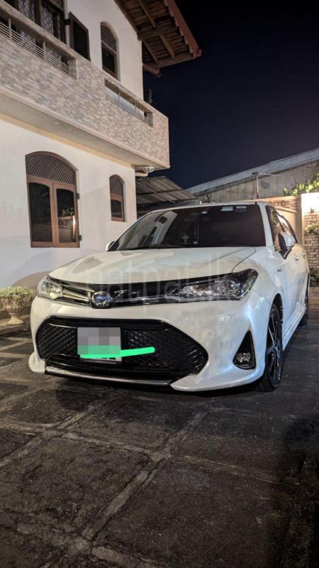 Advertisement image 1